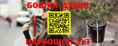 индика Дубна